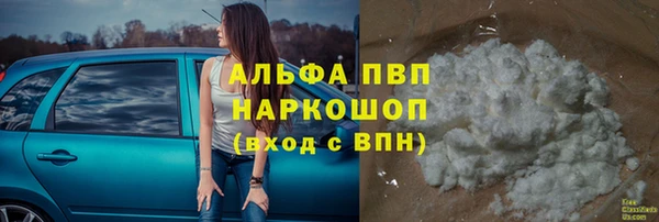 стафф Арсеньев