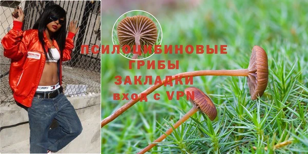 индика Армянск