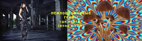 прущая мука Аркадак